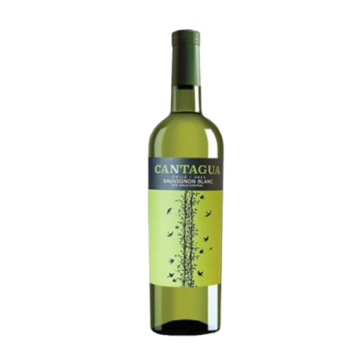 Rượu vang trắng Cantagua Sauvignon Blanc