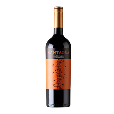 Rượu vang đỏ Cantagua Carmenere