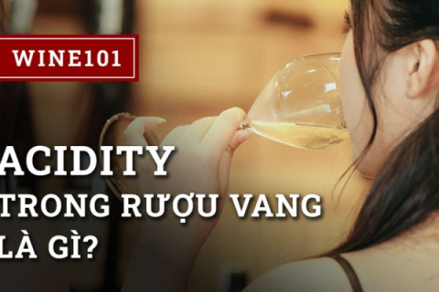 Các Khái Niệm Cơ Bản: Acidity Trong Rượu Vang Là Gì?